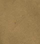 Efc2538d6188a0cc24069fc5b90e6f4f_medium