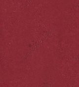 Beec9401d050ab15b1e15c624477bde2_medium