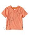 A444d114a09811a6d4445a33cb4ab5ef_small
