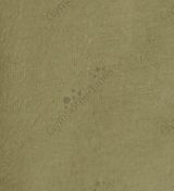 3e7a98444a2afcde403cb50c6d538381_medium