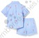 4c3a9599e913374ebb03ced6c13e6451_pico