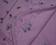 173916cbc2daac2b3ee6661cea1dc755_pico