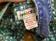 Bd4998ce1de4821147cedba715143049_pico
