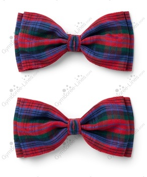 23bf1679b381c5584e5d7f8a6280a90d_medium