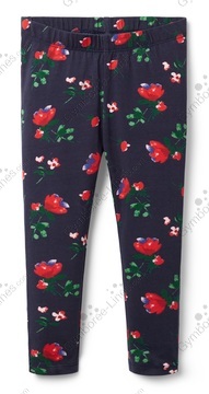 85b81163dc7275581c91c222ce51c067_medium