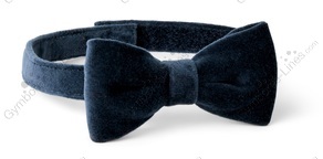 D22b129571eba0a2177b1a267235d36a_medium