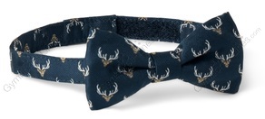 003aae2fb47575a7add67b71a56517f9_medium