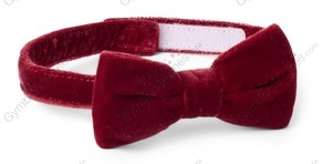 D48917deb5e1c499836b200bcb15f1d9_medium