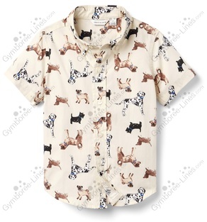 40f5f6e4162f93afe25933aa0d49b6be_medium