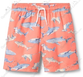 86e677cb0c389d8615764d50b3d59e32_medium