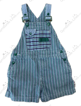 42231131a7ec0030779a18bd7c146b30_medium