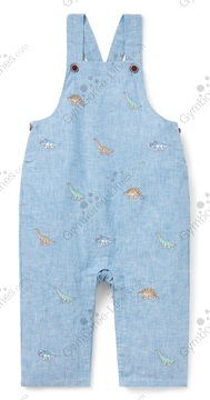 E3b87385e6c4424086c0e1d235c518a1_medium