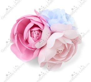 B8886eb5c1e96c06720d6ef17edcf265_medium