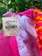 B08b292b1b253d4d84b02fd59bb1bc53_pico